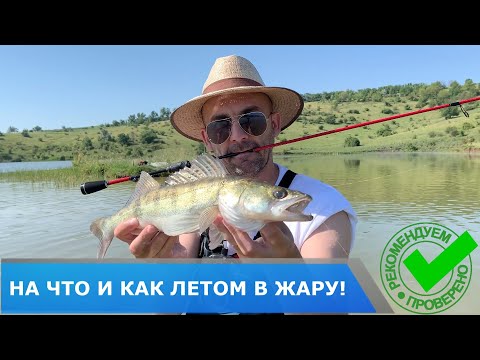 Видео: Судак и окунь летом в жару на что и как ?! Подбор приманки, вес огрузки, правильная проводка.