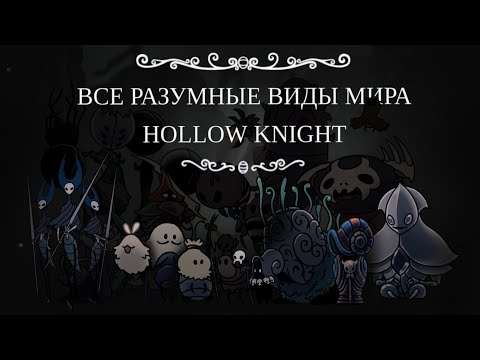 Видео: Все разумные Виды мира Hollow Knight и Hollow Knight: Silksong