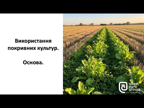 Видео: Використання покривних культур. Основа.