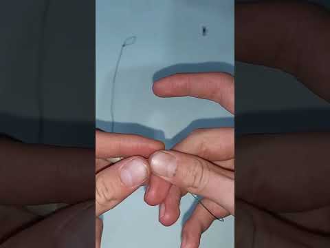 Видео: Как связать самую простую донную снасть. #рыболовныеузлы #fishing #рыбалка