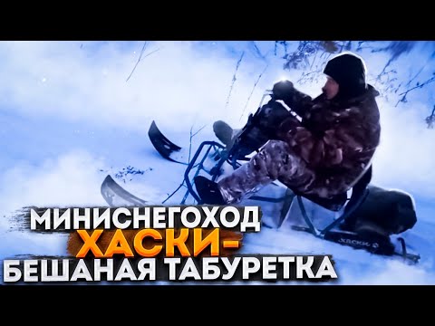 Видео: Мини снегоход Хаски- бешеный табурет