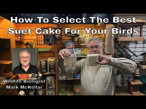 Видео: Как выбрать лучший сальный жмых для ваших птиц