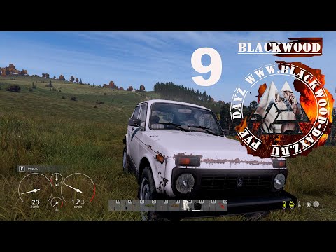 Видео: "И вновь торговая зона" # 9 Dayz PVE (первый сезон)