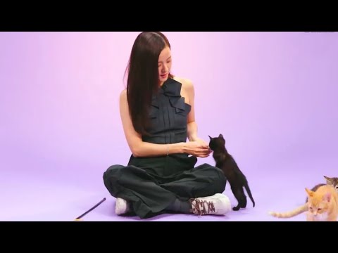 Видео: интервью джису blackpink и котики | на русском