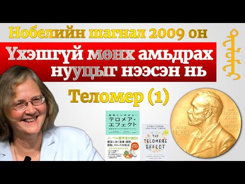 Видео: Үхэшгүй мөнх амьдрах нууцыг нээсэн нь буюу Теломерийн нөлөө（1）