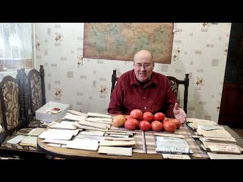 Видео: Найулюбленіший і найсмачніший томат!