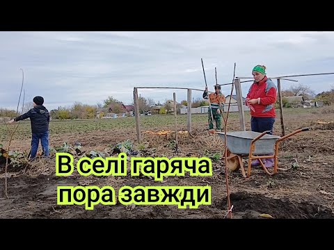 Видео: Поки дощу немає — треба встигнути все  !Час садити часник .