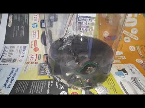 Видео: Джин чан, цикада, испытание, получил из Китая.