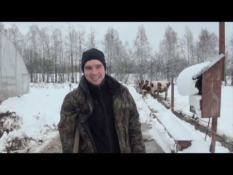 Видео: Доим 20 коров один год