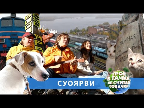 Видео: «Трое в тачке, не считая собачки» | Суоярви | 22.12.2022