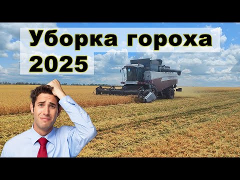 Видео: Уборка гороха 2025