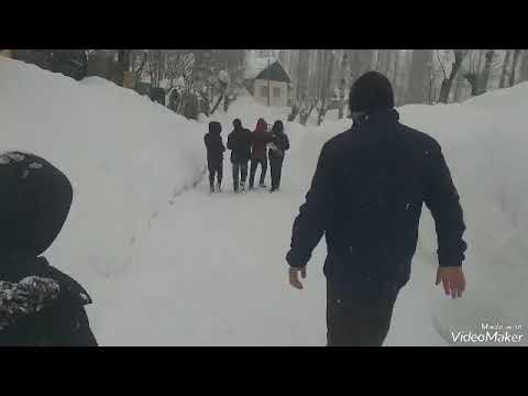 Видео: замистони дегдонак