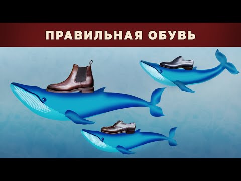 Видео: 3 кита Правильной обуви, о которых мало кто знает!