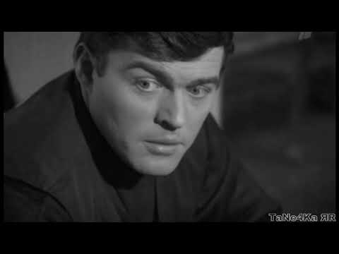 Видео: Эта любовь случилась с первого взгляда