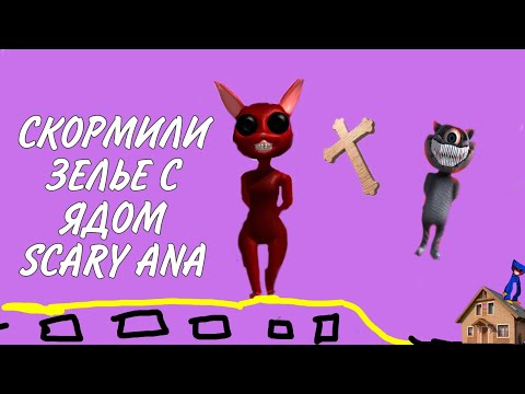 Видео: СКОРМИЛИ ЗЕЛЬЕ С ЯДОМ SCARY ANA