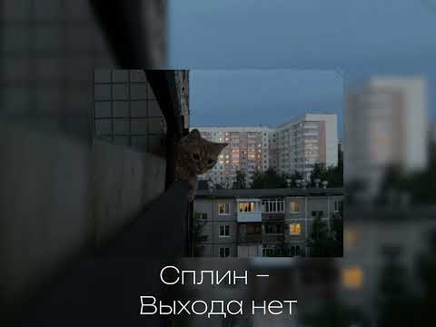 Видео: Вайбовый плейлист из старых песенок, что бы сидеть всю ночь