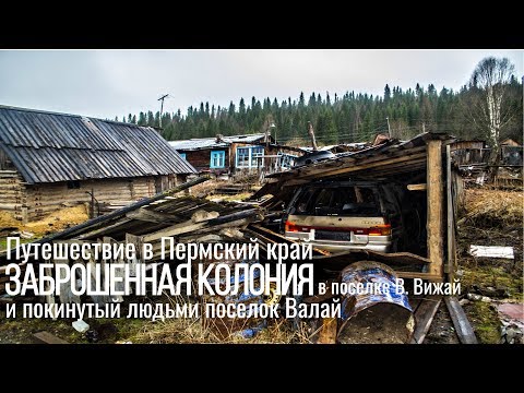 Видео: ПОКИНУТЫЙ людьми поселок ВАЛАЙ. Волк на дороге. ЗАБРОШЕННАЯ колония в поселке ВИЖАЙ.