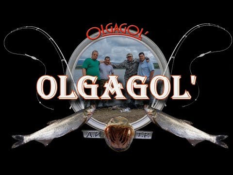 Видео: Olgagol' в Нижнетамбовском 4 6 августа 2017 лайт версия