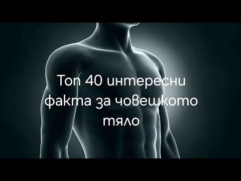Видео: Топ 40 интересни факта за човешкото тяло