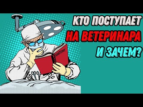 Видео: Основные типы абитуриентов в ветеринарном ВУЗе