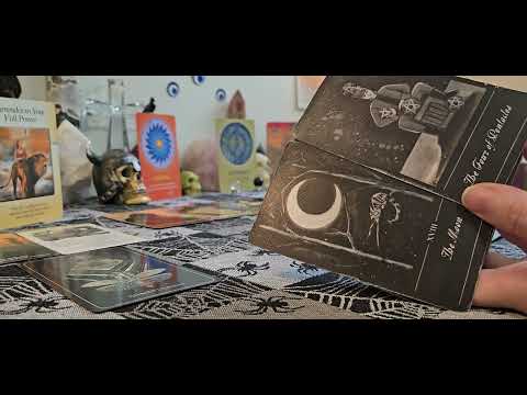 Видео: Близнецы ♊️ Создатели беспорядка хотели шоу, о, они его получили, под названием «Взорви»