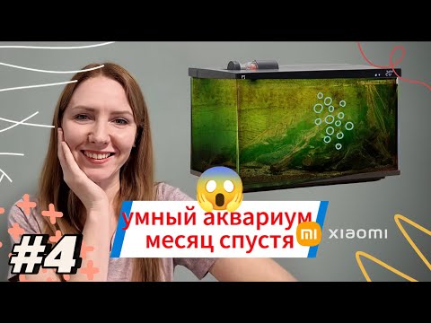 Видео: ❗Месяц после запуска умного аквариума Xiaomi  . Первые водоросли☘️. Как с ними бороться. Коряга.