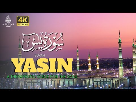 Видео: Руҳий Ором ва Шифо | Қуръон Тиловатлари 10 Дақиқа |Al Muntahe #surah 