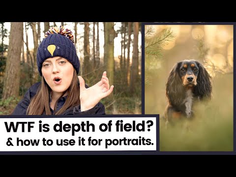 Видео: Что такое глубина резкости и как ее изменить при портретной съемке собак | Что за хрень такая DoF?!
