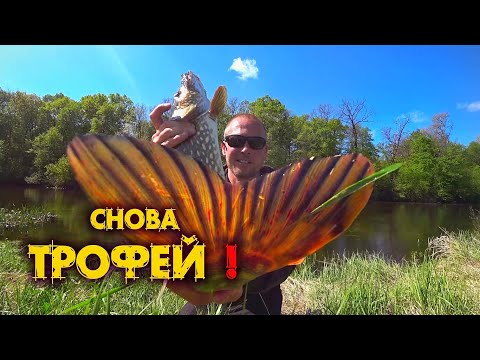 Видео: ПОСТАВИЛ БЛЕСНУ и ЕСТЬ ЩУКА ! РЫБАЛКА на СПИННИНГ ! ВЕСНА река ПСЕЛ