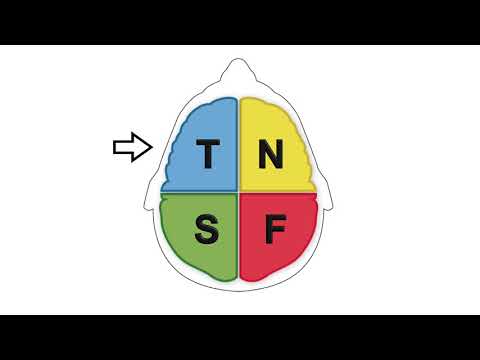 Видео: Размышления о Те против Ти