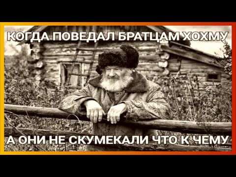 Видео: тикток поведал хохму | подборка мемов