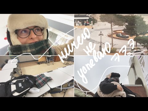 Видео: KOREA VLOG DIARY| Зима в Корее /тьюторинг корейский язык/ встреча с подписчицей |18-19.12.2023