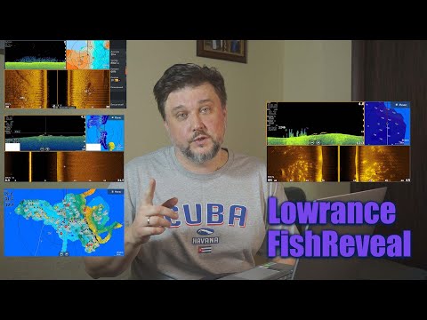 Видео: Как увидеть ХИЩНИКА | Настройки FishReveal | Разбираем НИЖНЕЕ сканирование LOWRANCE | Личный опыт