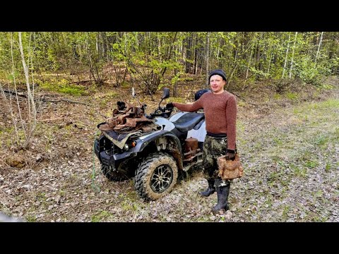 Видео: ПОИСКИ МЕТАЛЛА В СИБИРСКОЙ ТАЙГЕ. НАШЛИ СОТНИ КУБОВ ЛЕСА БРОШЕННОГО В СОВЕТСКОМ СОЮЗЕ.