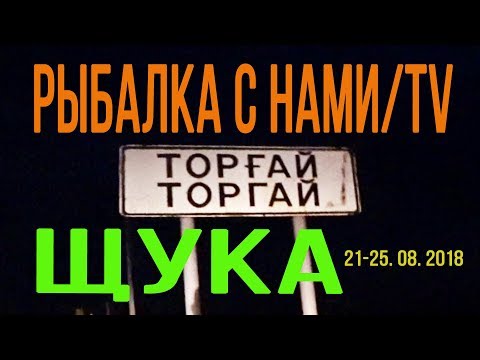 Видео: В ТУРГАЙ НА ЩУКУ С ДРУЗЬЯМИ, ЩУКА ГЛОТАЕТ НАШИ ПРИМАНКИ НА КАЖДОМ ЗАБРОСЕ! РЫБАЛКА В КАЗАХСТАНЕ!