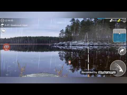 Видео: My Fushing World #13 // Рыбалка на КАМЕННОМ БЕРЕГУ (1 часть).