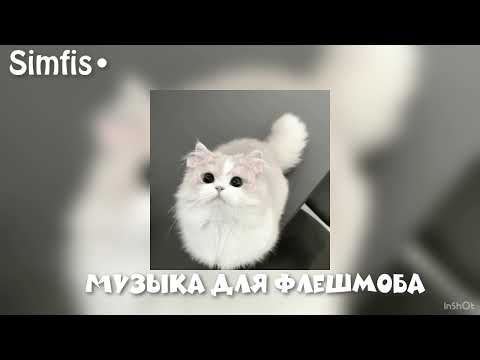 Видео: 🫦Музыка для флэшмоба🫶☺️