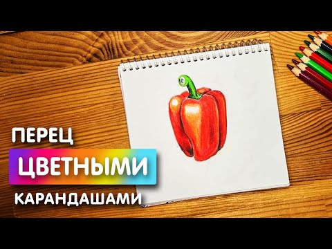 Видео: Как нарисовать цветными карандашами "Болгарский перец" | Рисунок для начинающих поэтапно и легко