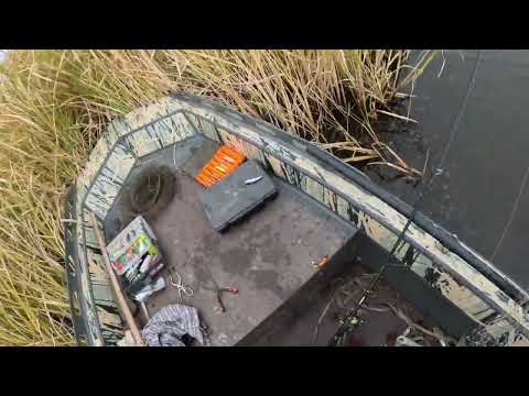 Видео: Илистая рыбалка на сома
