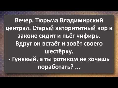 Видео: Анжела 35 лет в Постели с Чукчей и Старый Авторитет! Сборник Самых Свежих Анекдотов!