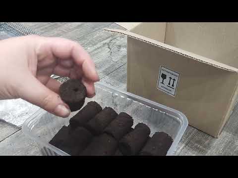 Видео: Что я купила для 💯 процентного укоренения растений 💥💥💥🌷