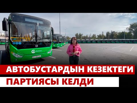 Видео: Автобустардын кезектеги партиясы келди