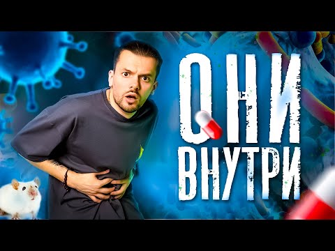 Видео: БАКТЕРИИ внутри НАС, эффект АНТИБИОТИКОВ и ЕСТЬ ли польза у ПРОБИОТИКОВ ?