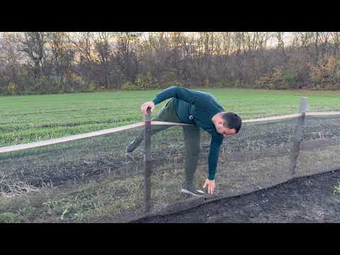 Видео: Закінчуємо мити равлика та будемо фасувати