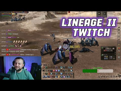 Видео: САМЫЕ ХУДШИЕ ошибки в Lineage 2, которые вы совершаете