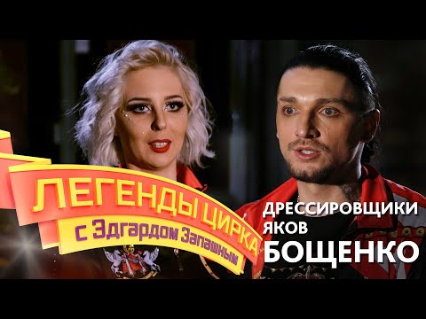 Видео: Легенды цирка с Эдгардом Запашным — Дрессировщики яков Екатерина и Максим Бощенко