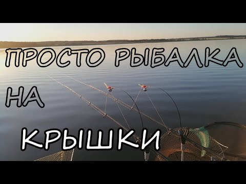 Видео: Летняя рыбалка на крышку и не только