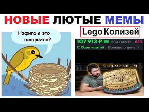Видео: Лютые шортсы. Птица и LEGO Колизей за 100 000 рублей