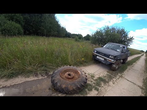 Видео: Лес с бронзой, колёса и любимые места