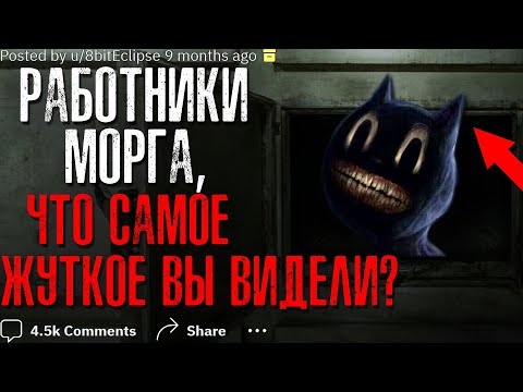 Видео: ГРОБОВЩИКИ/РАБОТНИКИ МОРГА, что самое ЖУТКОЕ ВЫ ВИДЕЛИ?